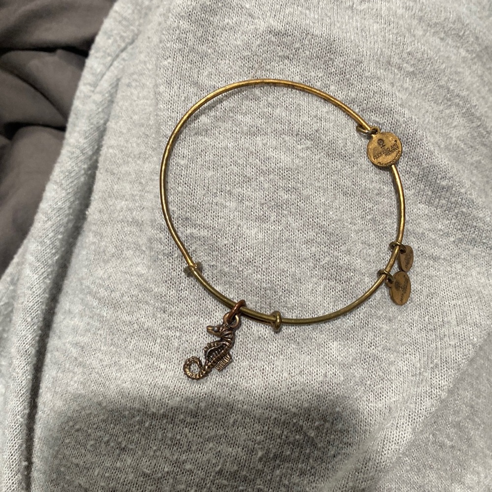 Seahorse Alex and ani